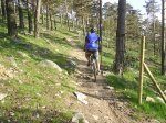 PIC_0003_800.JPG