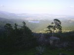 PIC_0011_800.JPG