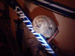 caracol 002.jpg