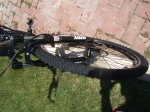 bici4.jpg
