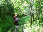 DSCN1333 (Medium).JPG