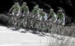 1515027_10151935646166843_2094592675_n.jpg