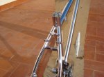 DSC04556.JPG
