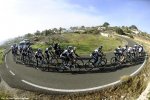 opqs_circles.jpg