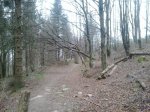 2014-01-09 16.48.42.jpg