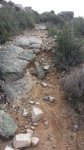 sendero-antes-de-limpieza.jpg