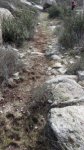 sendero-despuc3a9s-de-limpieza-2.jpg