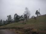 PICT0091.JPG