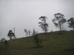 PICT0092.JPG