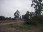 PICT0094.JPG