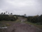 PICT0095.JPG