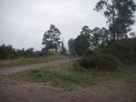 PICT0097.JPG