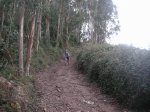 PICT0110.JPG