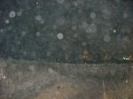 Foto1.JPG