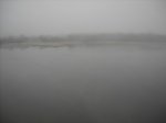Foto6.JPG