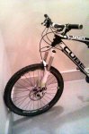 IMAG0279.jpg
