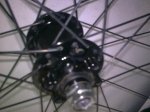 12062009_008.jpg