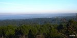 DSCN5528.JPG