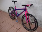 DSC09405.JPG