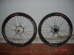 DSC07059.JPG