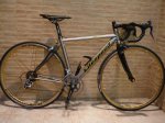 Litespeed shamalok.jpg