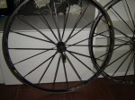 DSC00529.JPG