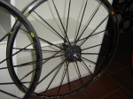 DSC00536.JPG