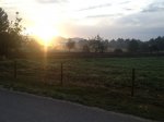 IMG_2290.jpg