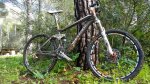 trek fuel.jpg