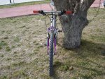 DSC04601.jpg