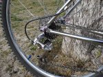 DSC04604.jpg