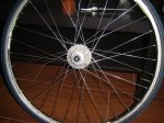 DSC00558.JPG