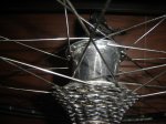 DSC00559.JPG