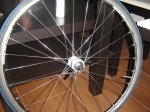 DSC00561.JPG