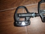 DSC00564.JPG