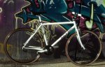 DSC_3991.jpg