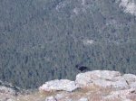 P0000008_redimensionar.JPG
