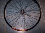 100_1091.jpg