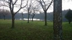3205990_full.jpg
