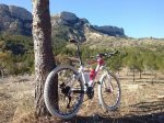 rincon bello1 trek.jpg