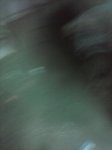 CAM00484.jpg