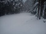 DSC00182.jpg