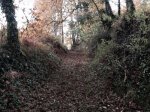 foto9.jpg
