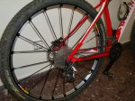 DSC01768.JPG