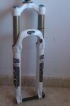 DSC_1134.JPG