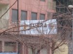 IMG_4331.JPG