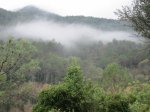 IMG_4340.JPG