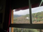 IMG_4371.JPG