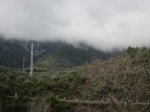 IMG_4381.JPG