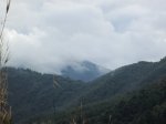 IMG_4389.JPG